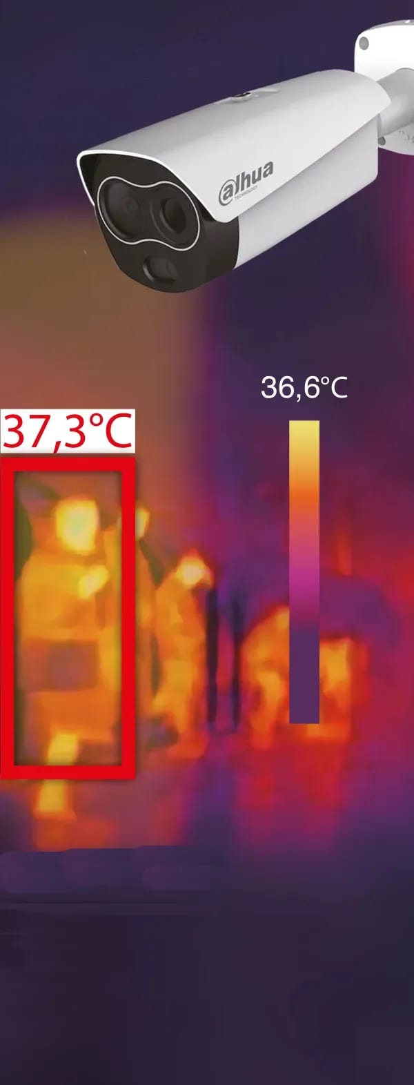 Human body temperature monitoring